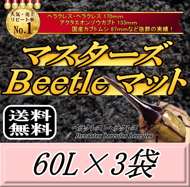 送料無料！マスターズBeetleマット 60L×3袋　ヘラクレス170mmの実績！害虫の混入99％なし！