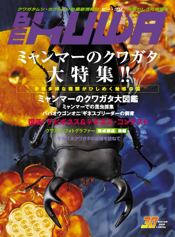 ポイント15倍！BE-KUWA 30