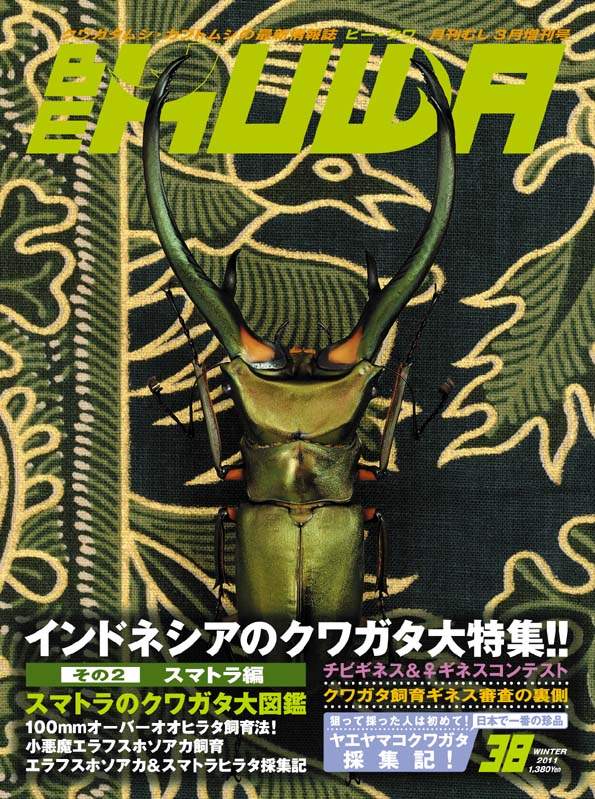 ポイント15倍！BE-KUWA 38