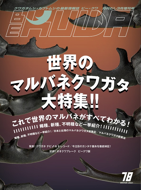 ビークワ　BEKUWA 1〜43 BE-KUWA（ビークワ）｜定期購読15%OFF - 雑誌のFujisan