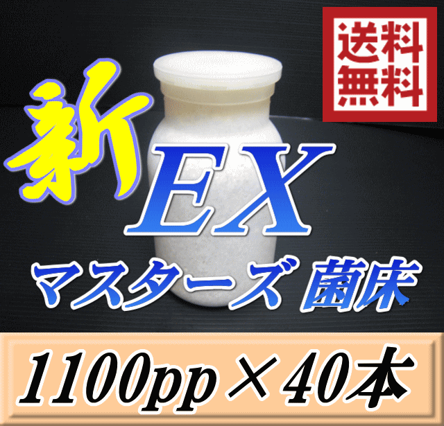 送料無料！マスターズ新EX オオヒラタケ 菌床 広口1100pp×40本