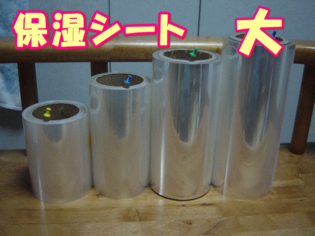 保湿シート 飼育ケース大用　260幅×約100m