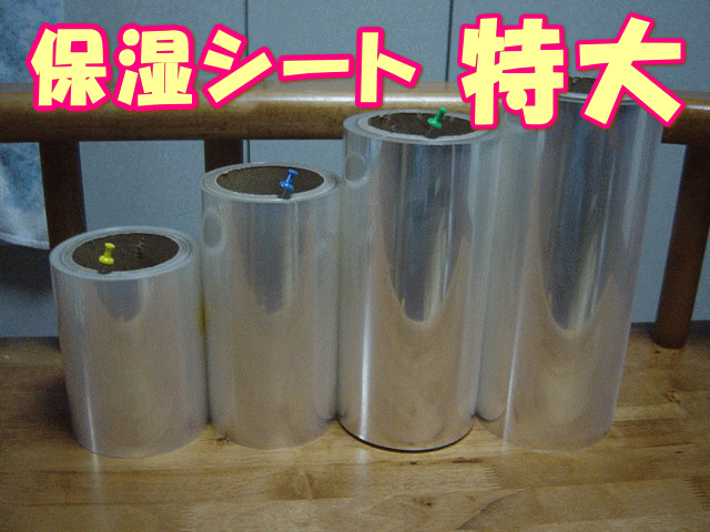 保湿シート 飼育ケース特大用　300幅×約100m