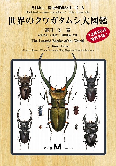 ポイント10倍＆送料無料！新 世界のクワガタムシ大図鑑　（有）むし社