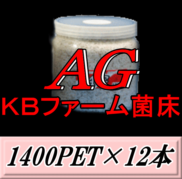 送料無料！AG （オオヒラタケ） 菌床 1400PET×12本　クリアボトル 手詰め2次発菌　KBファーム製