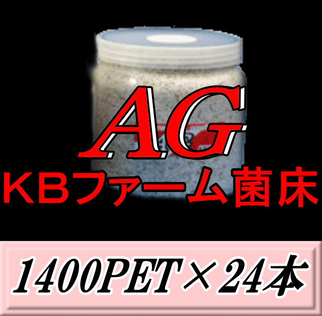 送料無料！AG （オオヒラタケ） 菌床 1400PET×24本　クリアボトル 手詰め2次発菌　KBファーム製