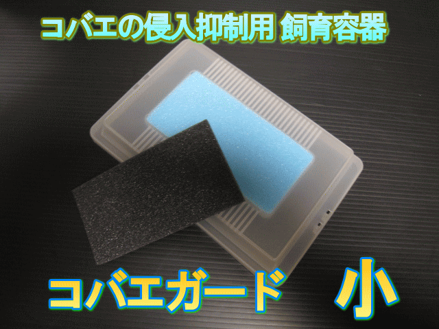 ◆在庫限り超特価！40％OFF 通常264円→156円◆コバエの侵入抑制用飼育容器 小 コバエガード 6枚