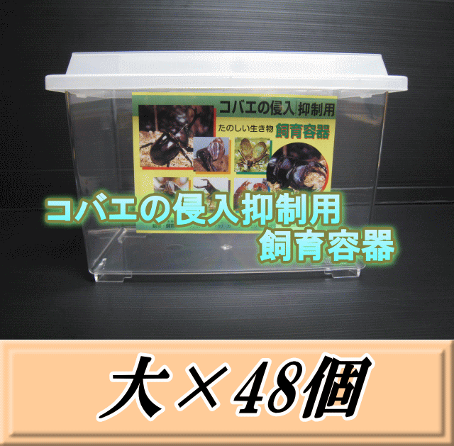 特選SALE！通常64,930円→55,190円◆送料無料！コバエの侵入抑制用飼育容器 大 48個