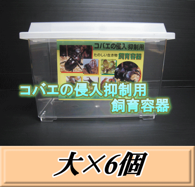 特選SALE！通常8,890円→7,550円◆送料無料！コバエの侵入抑制用飼育容器 大 6個