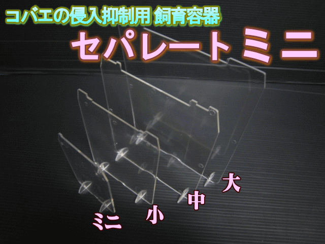 ◆在庫限り超特価！40％OFF 通常44円→26円◆コバエの侵入抑制用飼育容器 ミニ　セパレート（仕切り） 1枚