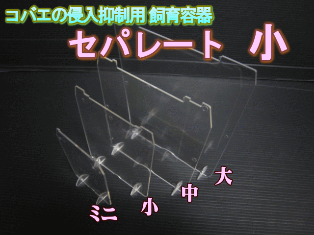 ◆在庫限り超特価！40％OFF 通常66円→39円◆コバエの侵入抑制用飼育容器 小　セパレート（仕切り） 1枚