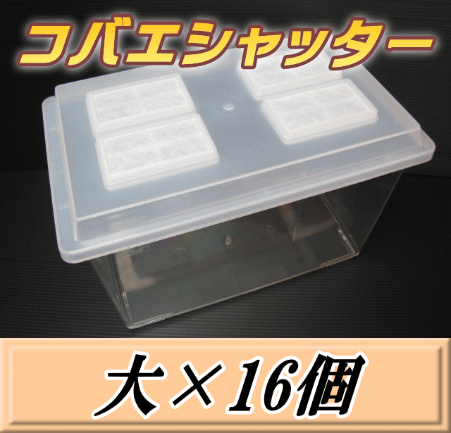 送料無料！コバエシャッター 大 飼育ケース 16個 ダイナステス