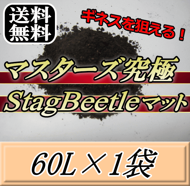 送料無料！マスターズ究極Stag Beetleマット 60L×1袋