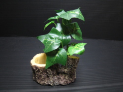 三晃商会 緑のお皿　1個