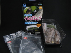 マルカン はじめてのかんたん昆虫標本セット 1個
