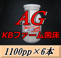 AG （オオヒラタケ） 菌床 1100pp×6本　KBファーム製