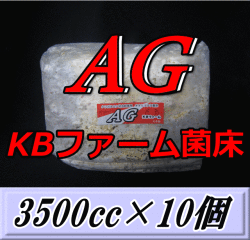 送料無料！AG （オオヒラタケ） 菌床 ブロック 3500cc×10個　KBファーム製
