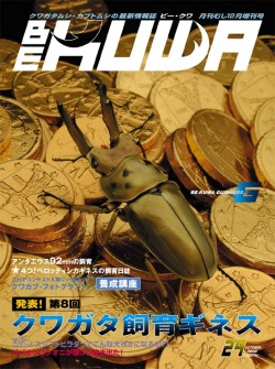 ポイント15倍！BE-KUWA 29