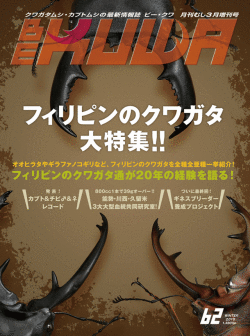 ポイント15倍！BE-KUWA 62 ダイナステス マスターズ 廣島