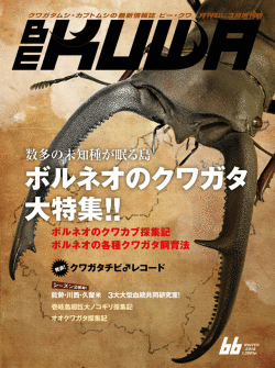 ポイント15倍！BE-KUWA 66