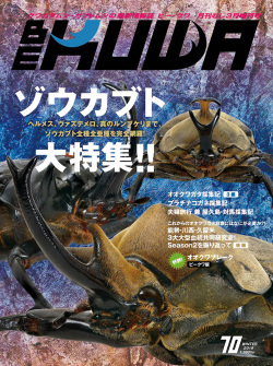 ポイント15倍！BE-KUWA 70 ダイナステス マスターズ 廣島