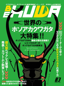 ポイント15倍！BE-KUWA 83 ダイナステス マスターズ 廣島