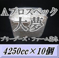 送料無料！大夢 Aプロスペック カンタケ 菌床 ブロック 4250cc×10個