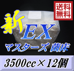 送料無料！マスターズ新EX オオヒラタケ 菌床 ブロック 3500cc×12個