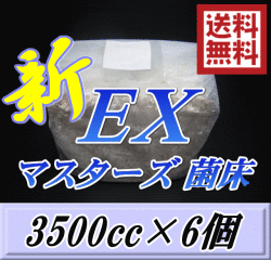 送料無料！マスターズ新EX オオヒラタケ 菌床 ブロック 3500cc×6個
