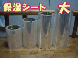 保湿シート 飼育ケース大用　260幅×約100m