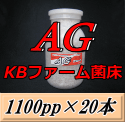 送料無料！AG （オオヒラタケ） 菌床 1100pp×20本　KBファーム製