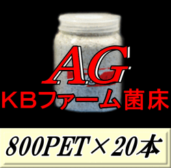 送料無料！AG （オオヒラタケ） 菌床 800PET×20本　クリアボトル 手詰め2次発菌　KBファーム製