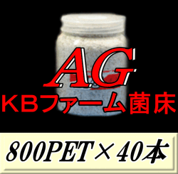 送料無料！AG （オオヒラタケ） 菌床 800PET×40本　クリアボトル 手詰め2次発菌　KBファーム製