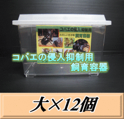 特選SALE！通常16,910円→14,370円◆送料無料！コバエの侵入抑制用飼育容器 大 12個