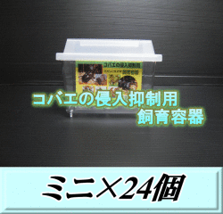 送料無料！コバエの侵入抑制用飼育容器 ミニ 24個