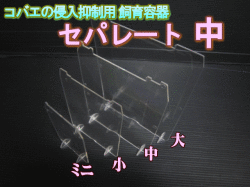 ◆在庫限り超特価！40％OFF 通常88円→53円◆コバエの侵入抑制用飼育容器 中　セパレート（仕切り） 1枚
