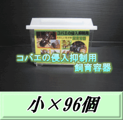 特選SALE！通常51,380円→43,670円◆送料無料！コバエの侵入抑制用飼育容器 小 96個