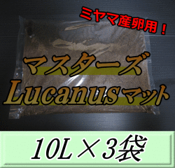 マスターズLucanusマット 10L×3袋