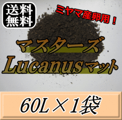 送料無料！マスターズLucanusマット 60L×1袋