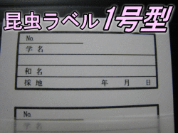 昆虫ラベル1号型　1束（5面×20枚＝100枚分）