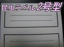 昆虫ラベル2号型　1束（5面×20枚＝100枚分）