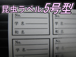昆虫ラベル5号型　1束（9面×30枚＝270枚分）