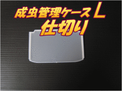 成虫管理ケース　L　仕切り　1枚