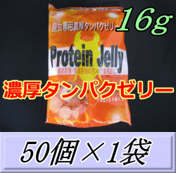 特選SALE！通常790円→640円◆濃厚タンパクゼリー 16ｇ　50個入×1袋　プロテインゼリー　ブリーダーズ・ファーム製