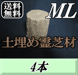 送料無料！土埋め霊芝材（レイシ材） ML（直径 105mm前後）　4本