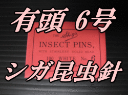 有頭シガ昆虫針　6号　標本針（最上質ステンレス製）　1包（100本入）