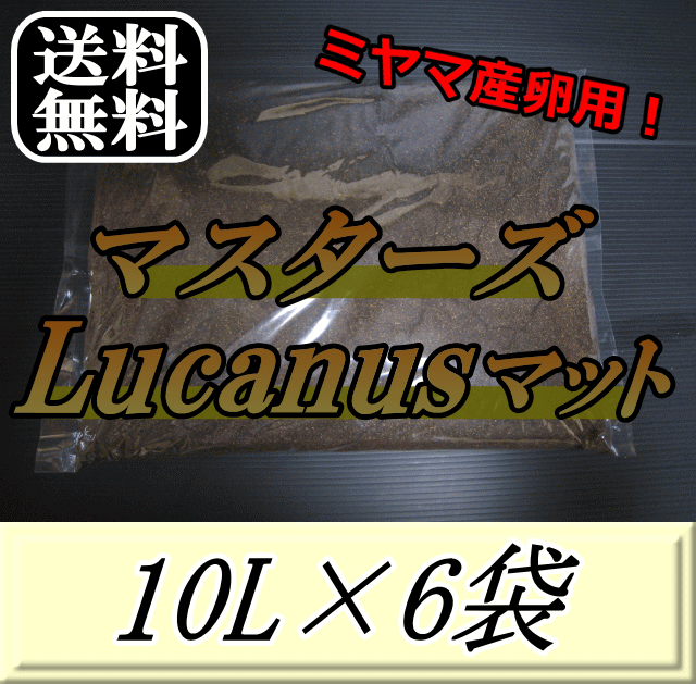 送料無料！マスターズLucanusマット 10L×6袋