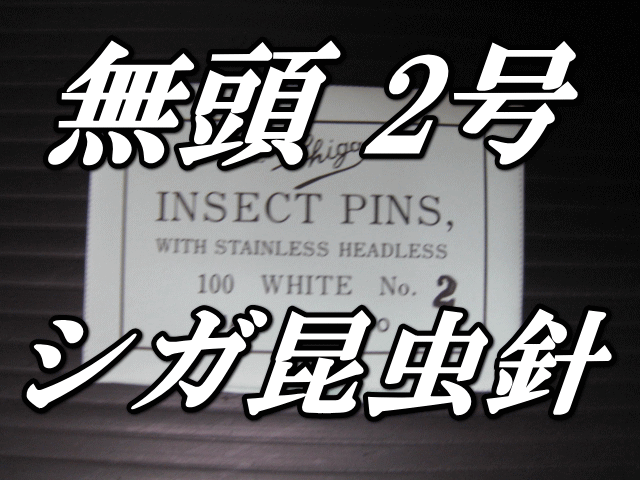 無頭シガ昆虫針　2号　標本針（最上質ステンレス製）　1包（100本入）