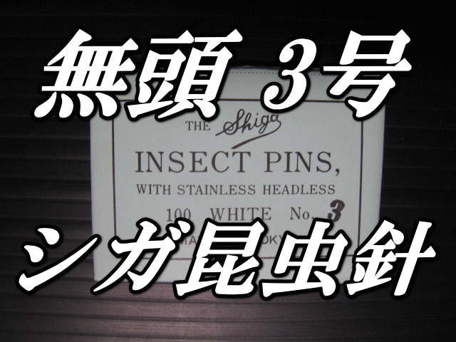 無頭シガ昆虫針　3号　標本針（最上質ステンレス製）　1包（100本入）