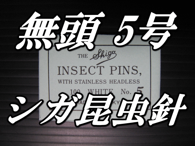 無頭シガ昆虫針　5号　標本針（最上質ステンレス製）　1包（100本入）